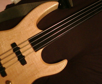 The Fretless Bass (Photo: ttanabe @ Flickr)