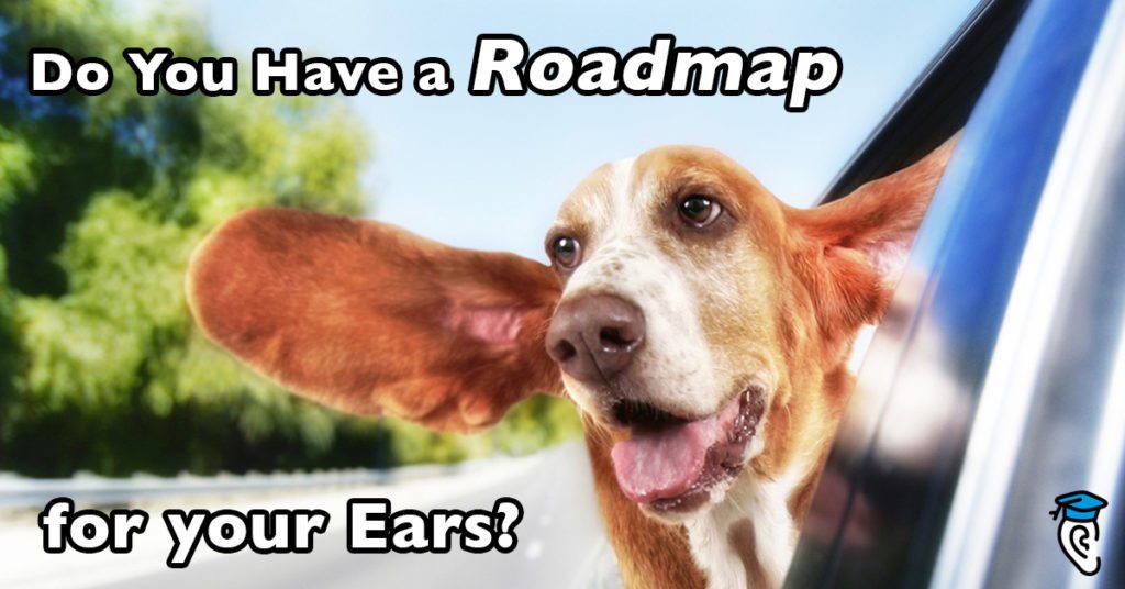 Do you have a roadmap for your ears?