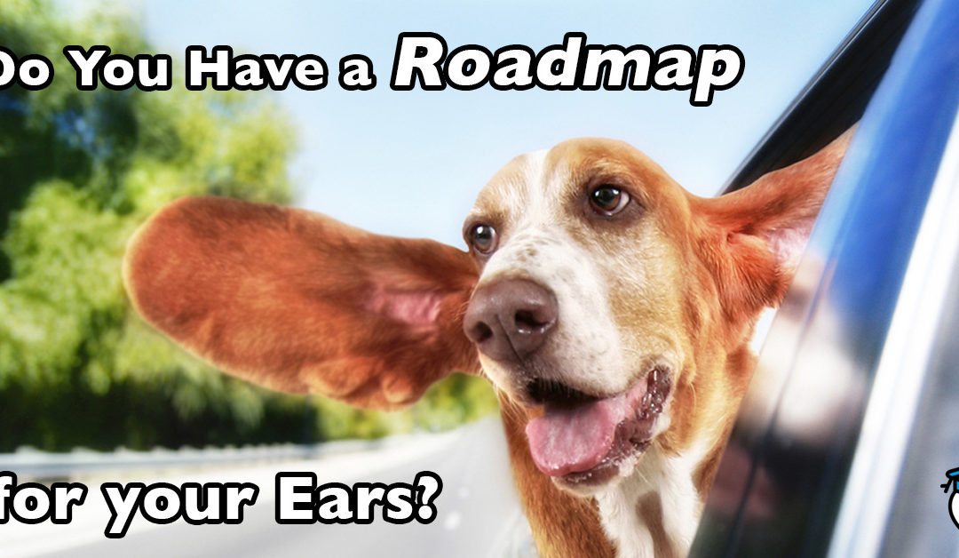 Do you have a roadmap for your ears?