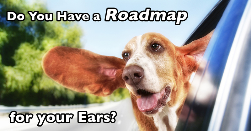 Do you have a roadmap for your ears