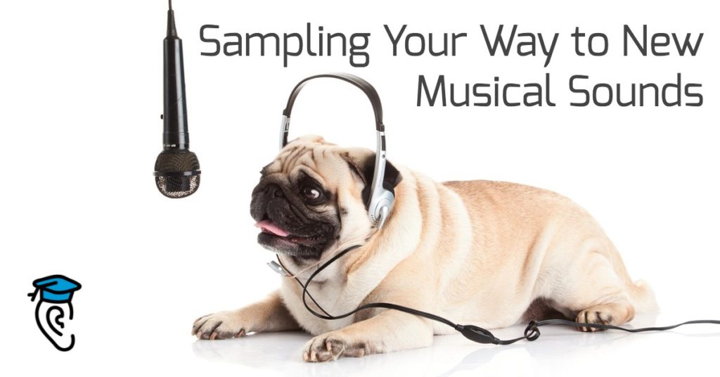 Sampling Your Way to New Musical Sounds