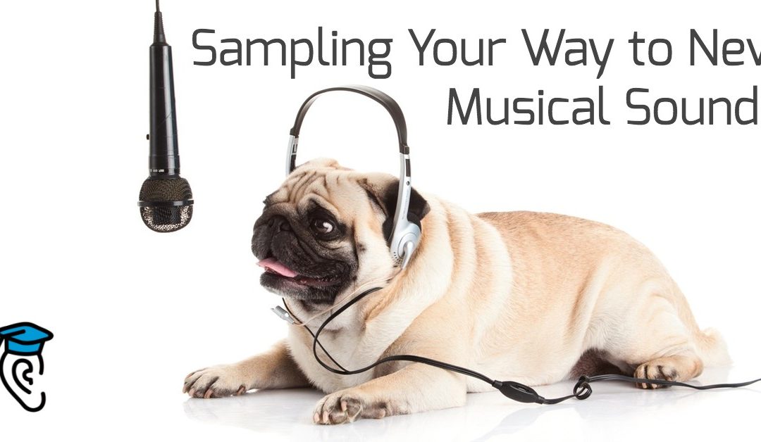 Sampling Your Way to New Musical Sounds