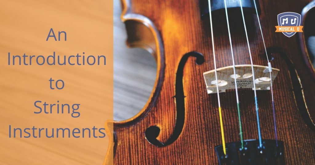 An Introduction to String Instruments