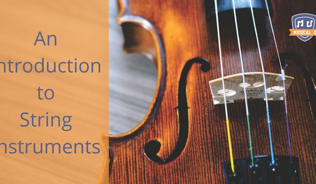 An Introduction to String Instruments
