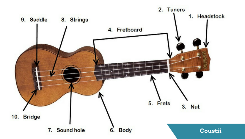 Parts of a ukulele