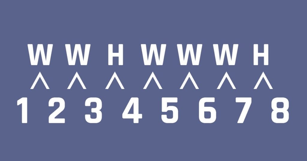 Whole and half steps of the major scale