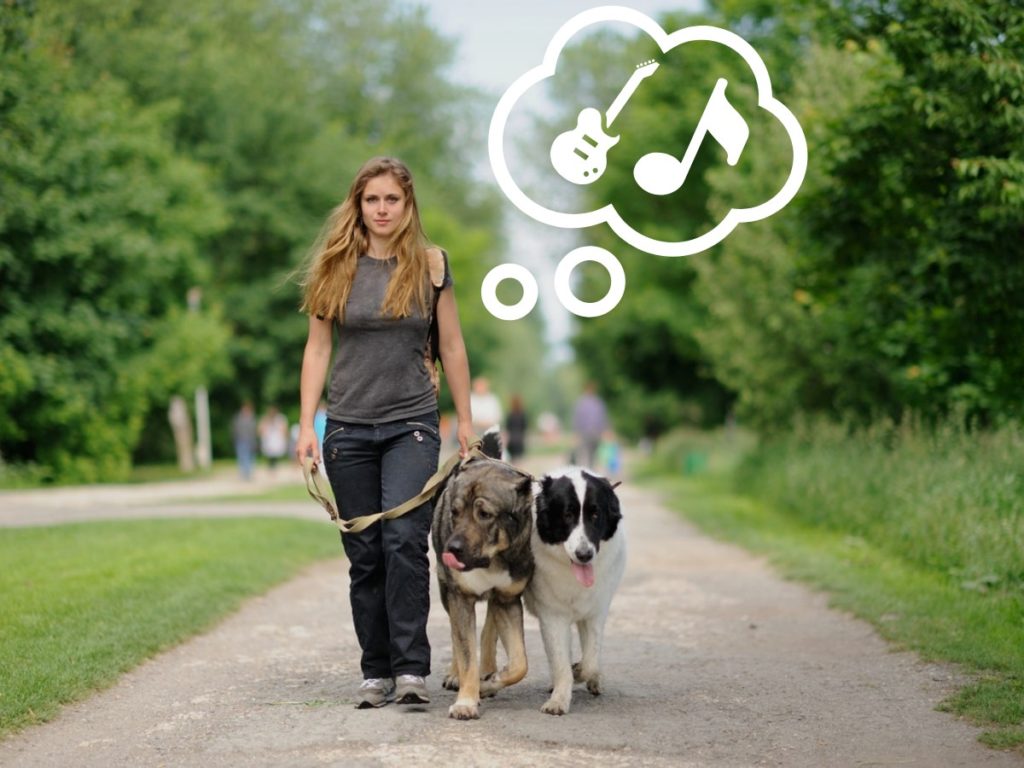 Thinking about music while walking dog