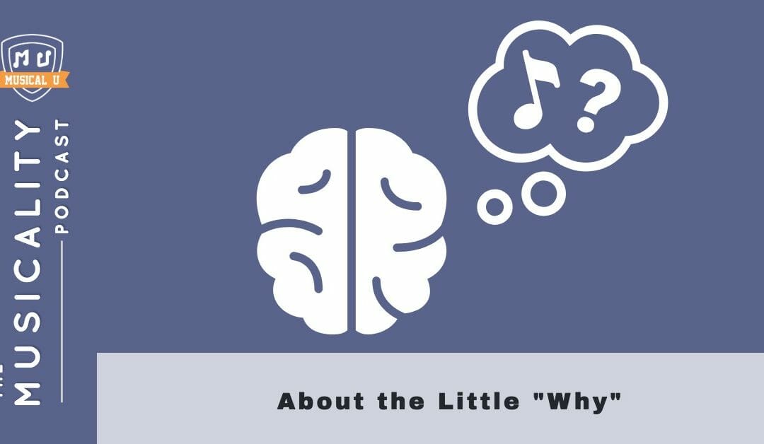 About the Little “Why”